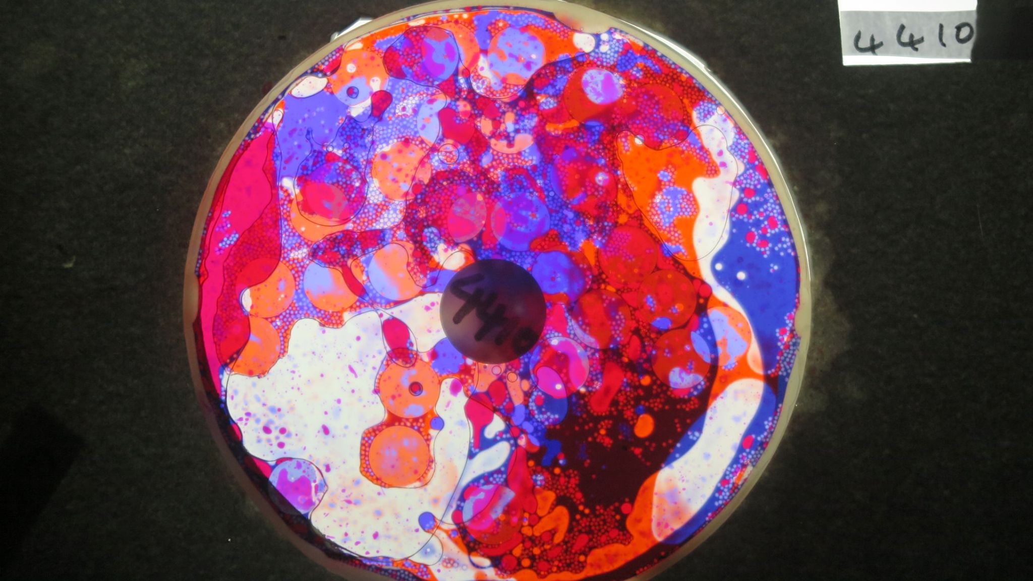 BV4410 bubble vision oil wheel